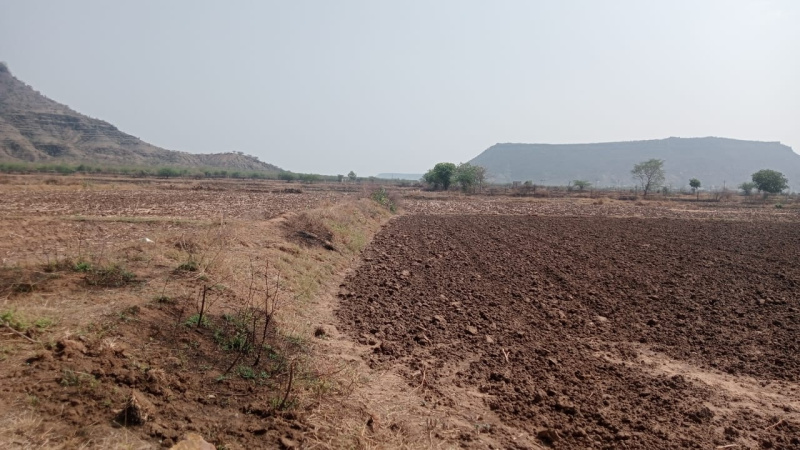  Agricultural Land 97 Bigha for Sale in Khandar, Sawai Madhopur