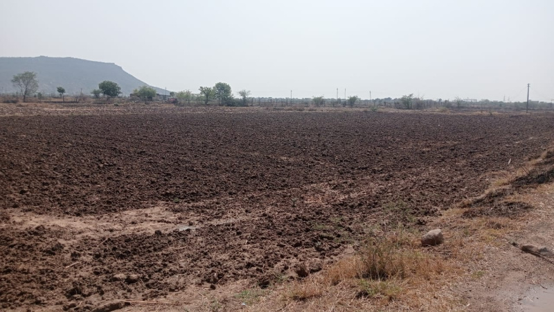  Agricultural Land 97 Bigha for Sale in Khandar, Sawai Madhopur