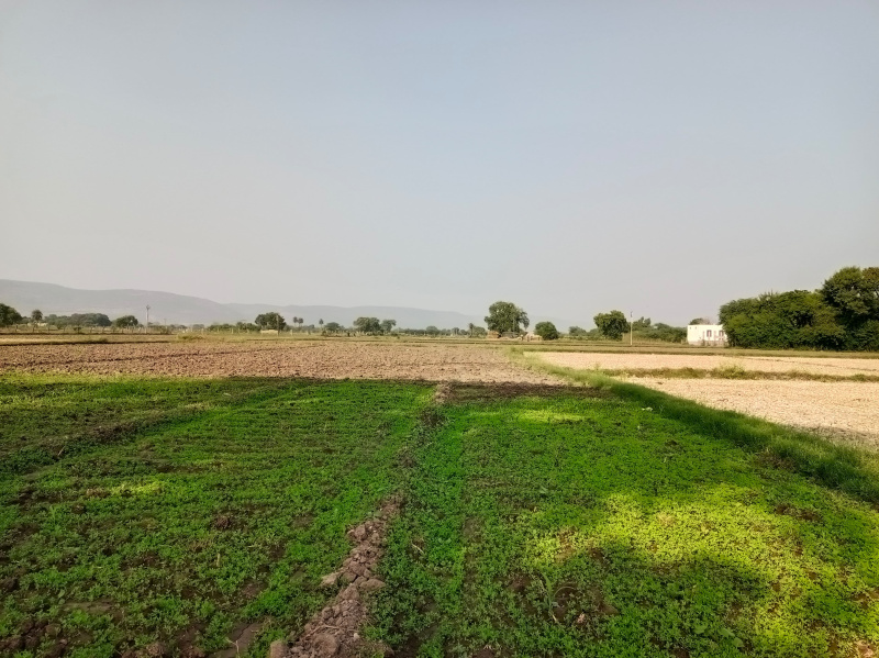  Agricultural Land 30 Bigha for Sale in Bundi , Bundi Bundi