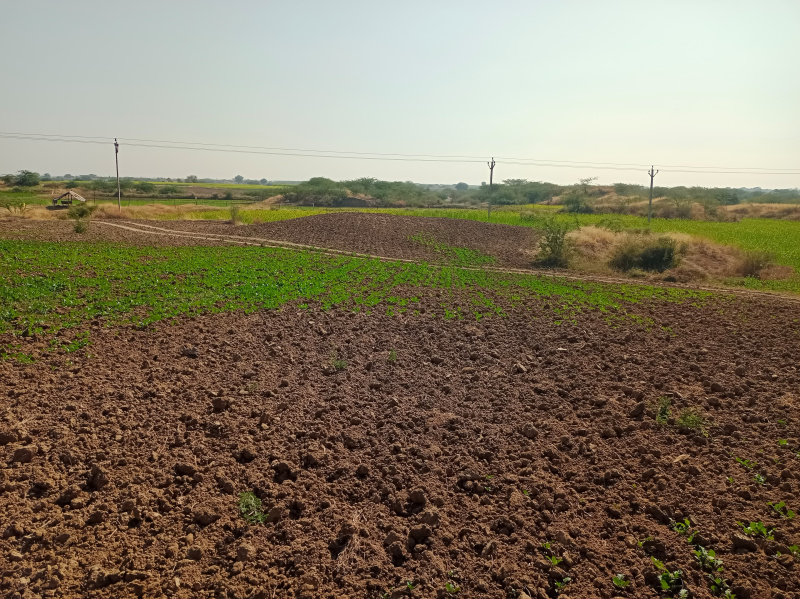  Agricultural Land 50 Bigha for Sale in Lakheri, Bundi