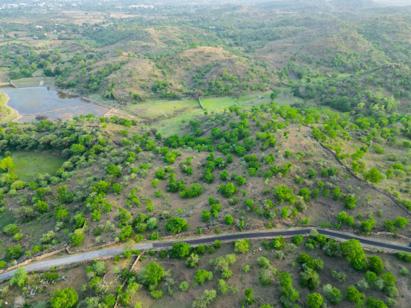  Agricultural Land 1000 Bigha for Sale in Khanjipeer, Udaipur