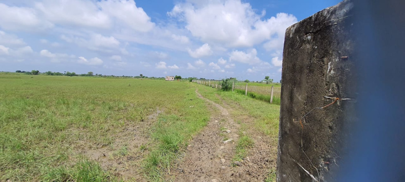  Agricultural Land 25 Bigha for Sale in Peeplu, Tonk