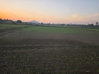  Agricultural Land for Sale in Hindoli, Bundi