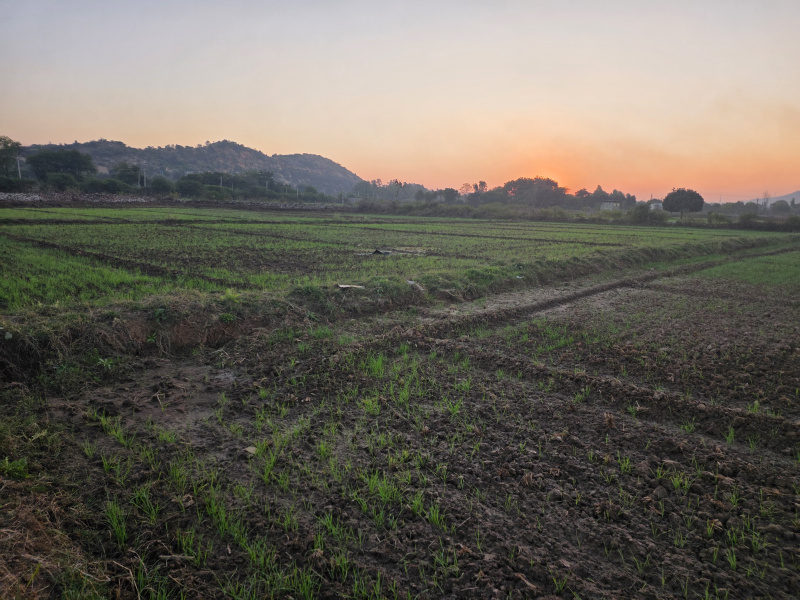  8 Bigha Agricultural/Farm Land for Sale in Hindoli, Bundi