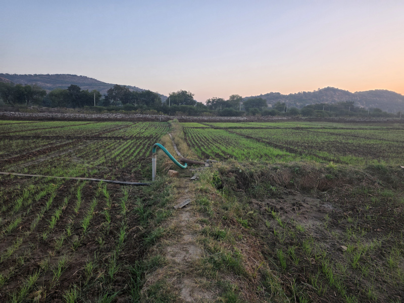  8 Bigha Agricultural/Farm Land for Sale in Hindoli, Bundi