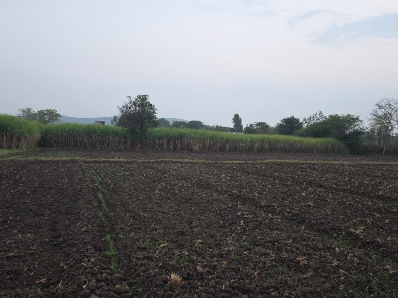  8 Bigha Agricultural/Farm Land for Sale in Hindoli, Bundi