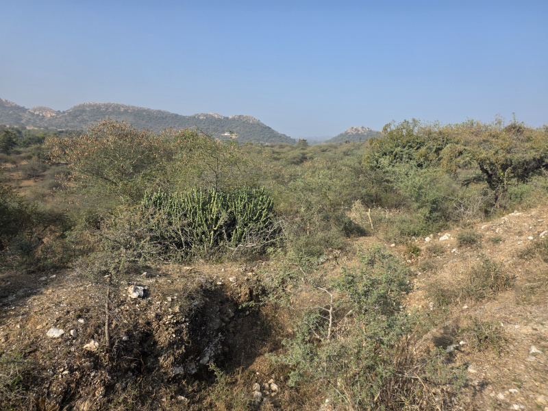  62 Bigha Agricultural/Farm Land for Sale in Kurabad, Udaipur