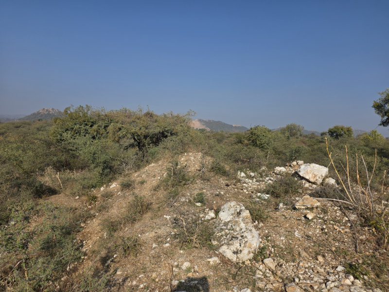  62 Bigha Agricultural/Farm Land for Sale in Kurabad, Udaipur