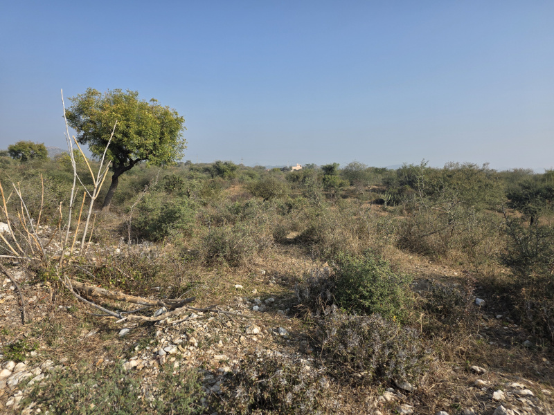  62 Bigha Agricultural/Farm Land for Sale in Kurabad, Udaipur