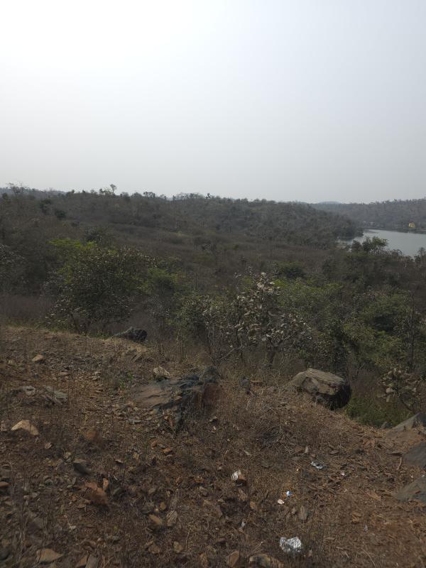  22 Bigha Agricultural/Farm Land for Sale in Bhinder, Udaipur