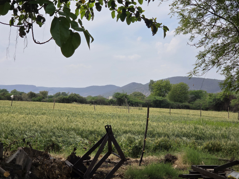  3 Hectares Agricultural/Farm Land for Sale in Hattipura, Bundi