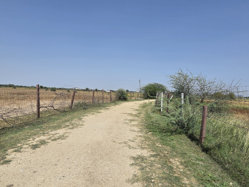  16 Bigha Agricultural/Farm Land for Sale in Deoli, Tonk