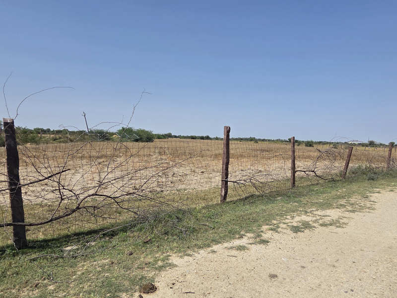  16 Bigha Agricultural/Farm Land for Sale in Deoli, Tonk