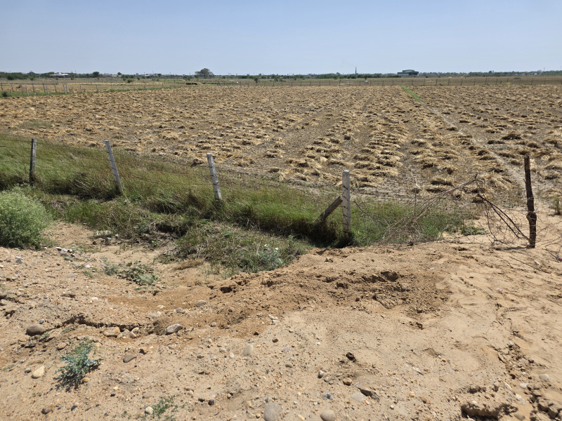  15 Bigha Agricultural/Farm Land for Sale in Deoli, Tonk