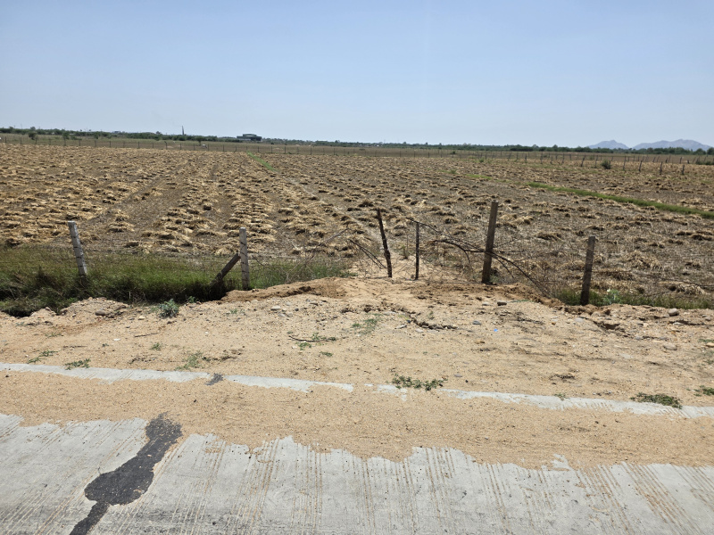  15 Bigha Agricultural/Farm Land for Sale in Deoli, Tonk