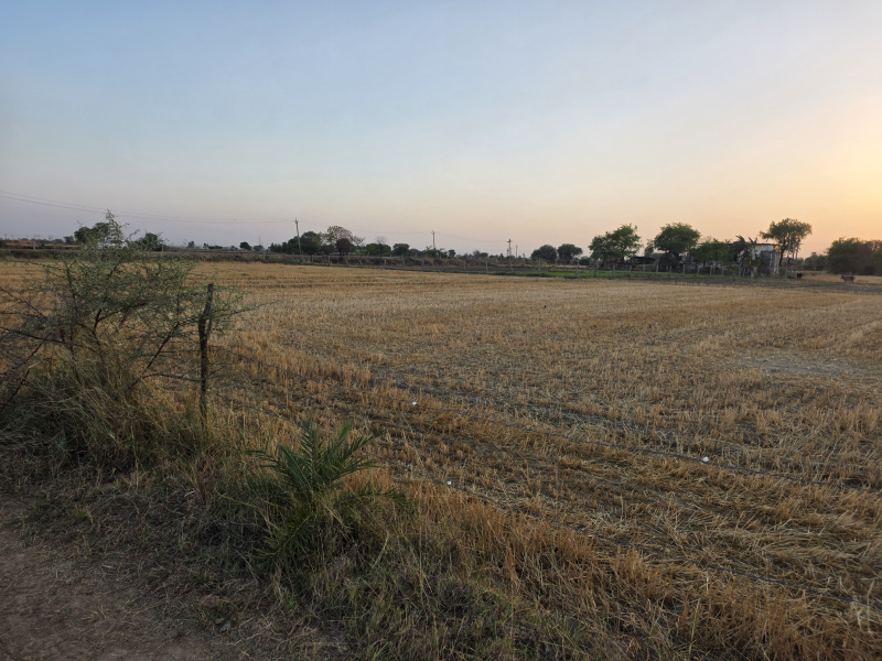  15 Bigha Agricultural/Farm Land for Sale in Barundhan, Bundi