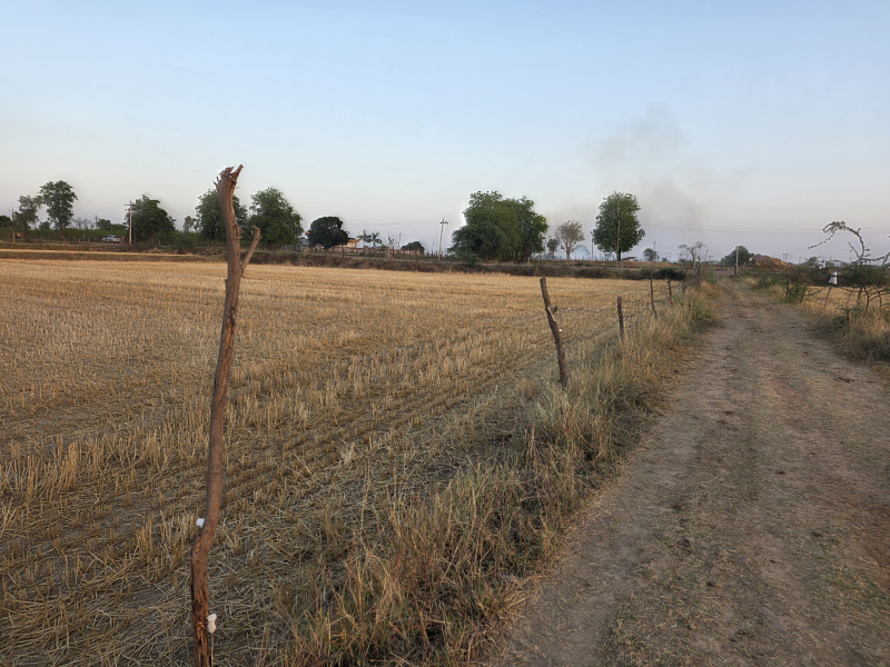  15 Bigha Agricultural/Farm Land for Sale in Barundhan, Bundi