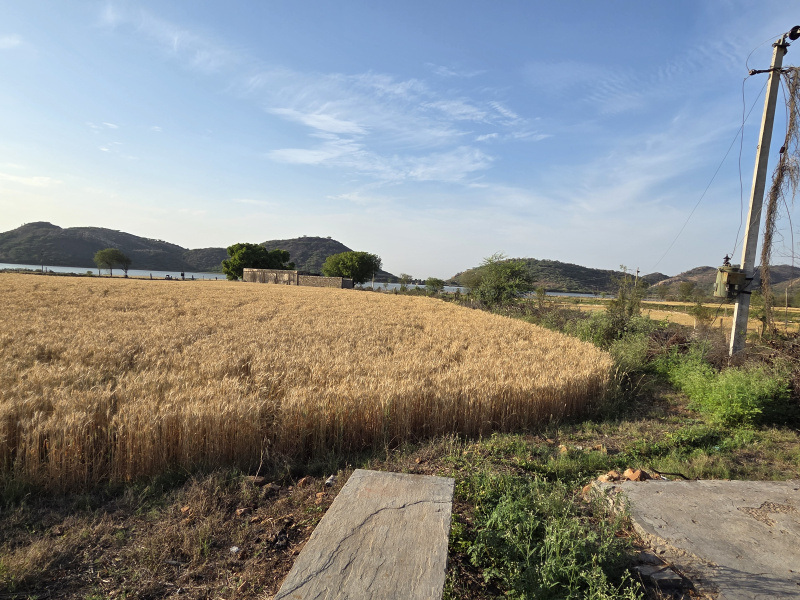  3 Bigha Agricultural/Farm Land for Sale in Hindoli, Bundi