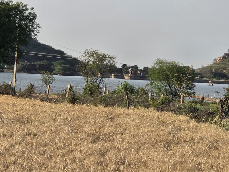  3 Bigha Agricultural/Farm Land for Sale in Hindoli, Bundi