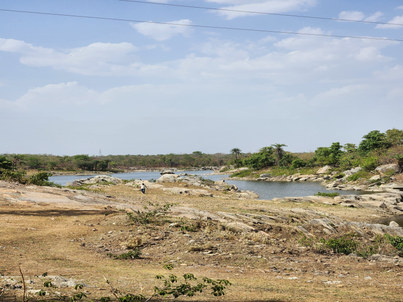  46 Bigha Agricultural/Farm Land for Sale in Bhinder, Udaipur