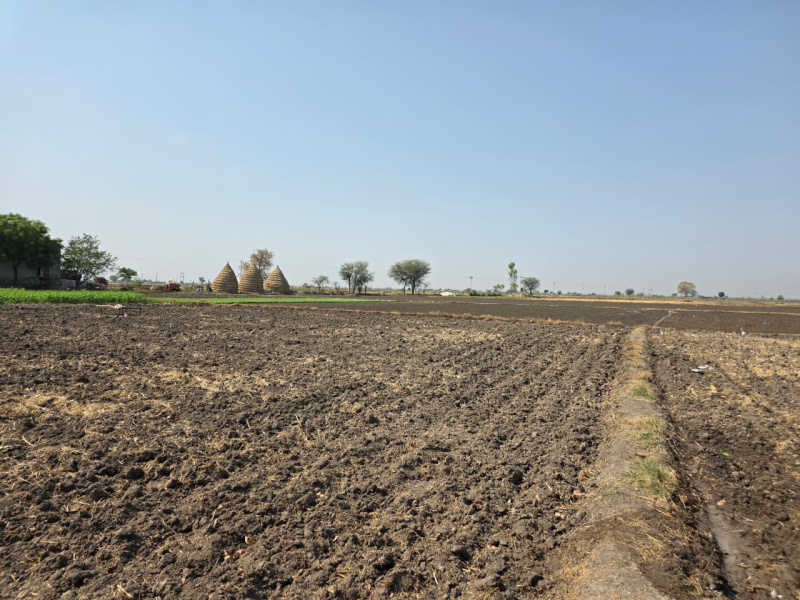  50 Bigha Agricultural/Farm Land for Sale in Seelor, Bundi