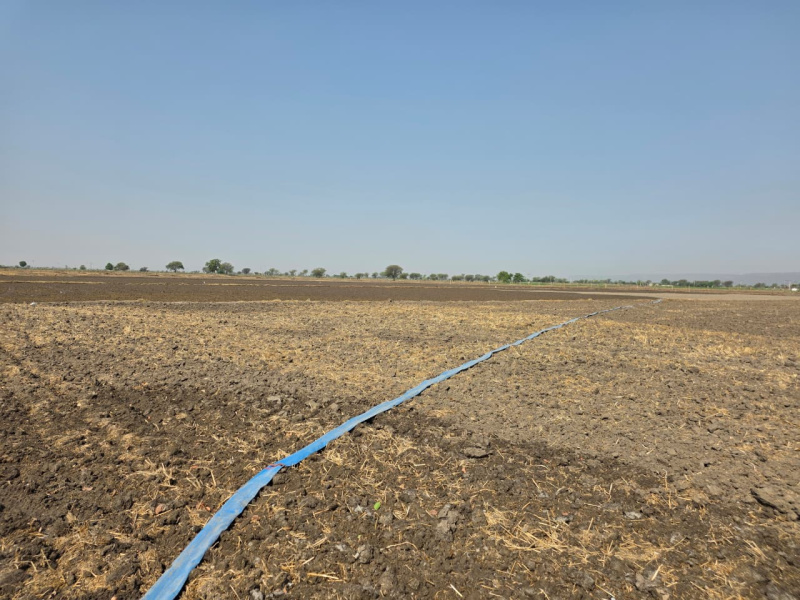 50 Bigha Agricultural/Farm Land for Sale in Seelor, Bundi