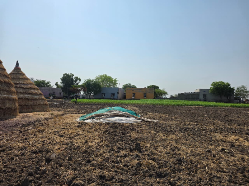  50 Bigha Agricultural/Farm Land for Sale in Seelor, Bundi
