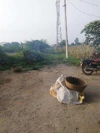  Agricultural Land for Sale in Raghuveer Pura, Bundi
