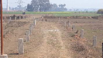  Agricultural Land for Sale in Bassi, Chittorgarh