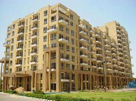 Penthouse for Sale in Sector 105 Mohali