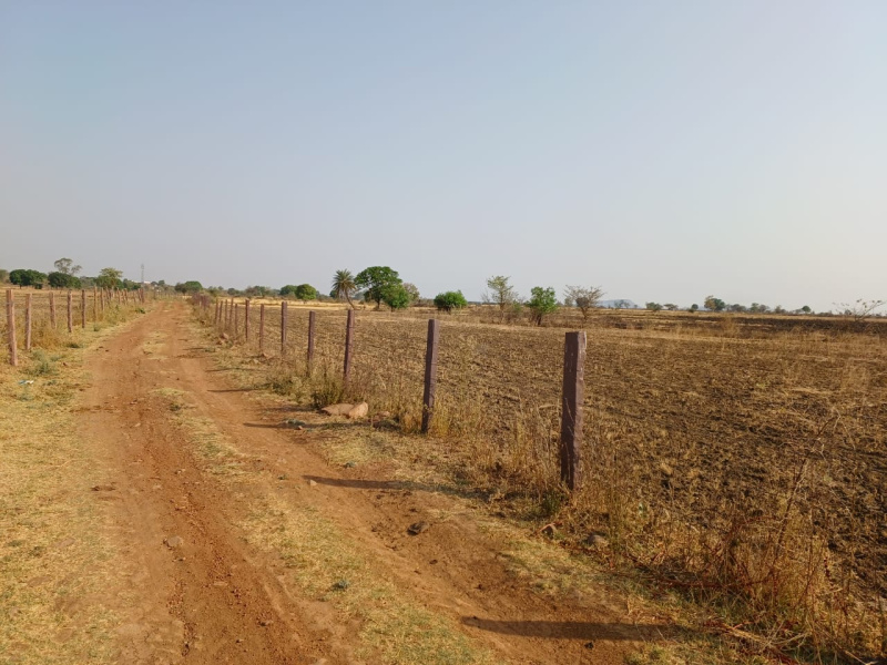  Agricultural Land 2 Acre for Sale in Naktara, Raisen