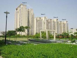  Commercial Land for Rent in Malibu Town, Gurgaon