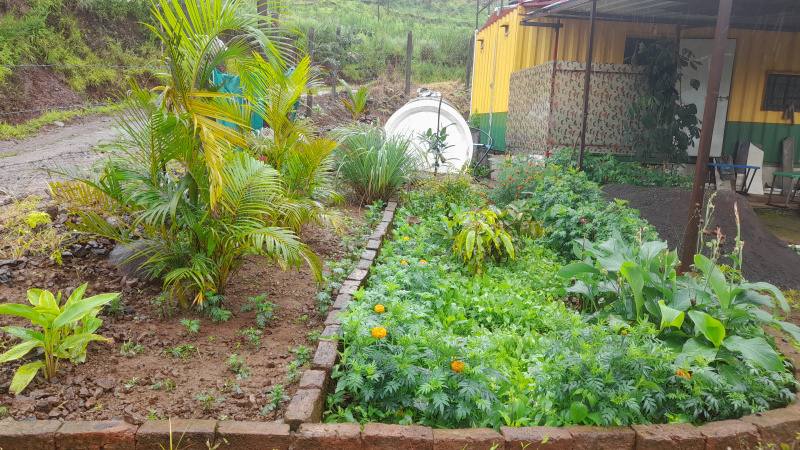 1.5 BHK 400 Sq.ft. Farm House for Sale in Wanowrie, Pune