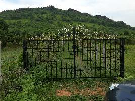  Agricultural Land for Sale in Thiruttani, Chennai