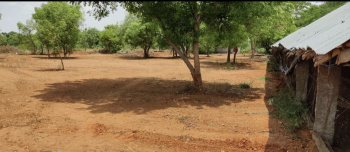  Agricultural Land for Sale in Kalavai, Kanchipuram
