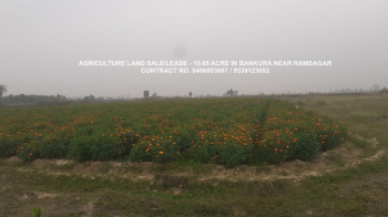  Agricultural Land for Sale in Ondagram, Bankura