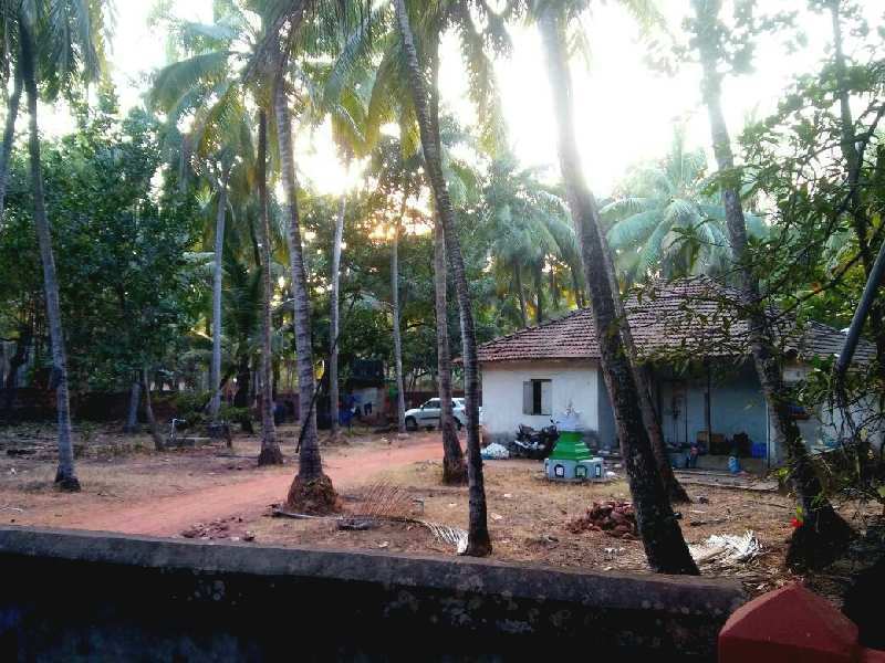 Residential Plot 20 Guntha for Sale in Malvan, Sindhudurg