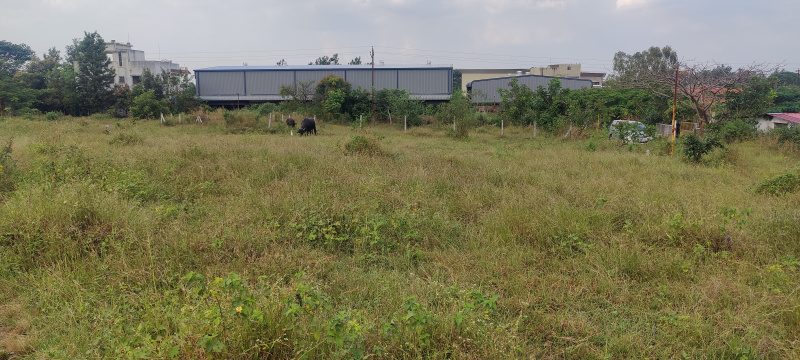  2970 Sq.ft. Residential Plot for Sale in Trimbak, Nashik