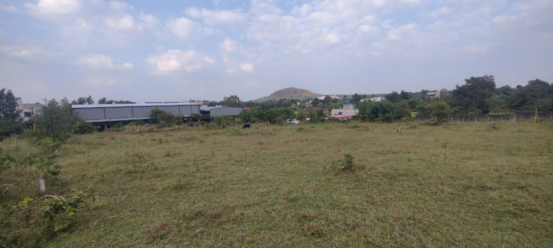  12000 Sq.ft. Residential Plot for Sale in Trimbakeshwar, Nashik