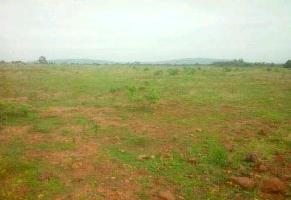  Commercial Land for Rent in Nuzvid, Vijayawada