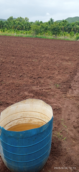  Agricultural Land 1 Acre for Sale in Holehonnur, Shimoga