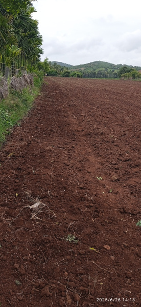  Agricultural Land 1 Acre for Sale in Holehonnur, Shimoga