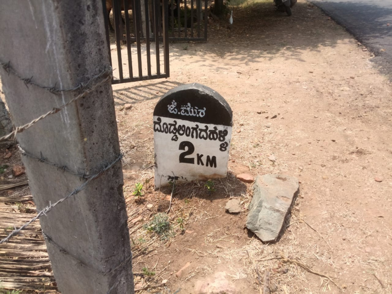  8 Acre Agricultural/Farm Land for Sale in Tarikere, Chikmagalur