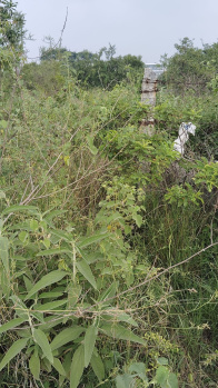  Commercial Land for Rent in Saravanampatti, Coimbatore