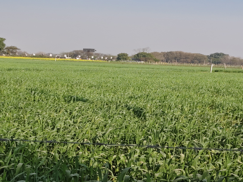 Additional image 2 of Kharar Road, Mohali