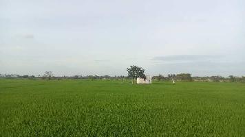  Agricultural Land for Sale in Thirukazhukundram, Kanchipuram