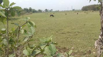  Agricultural Land for Sale in Vedanthangal, Kanchipuram