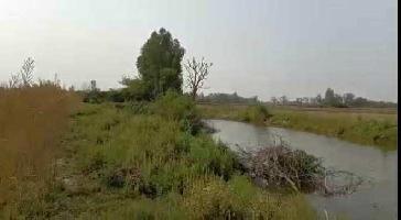  Agricultural Land for Sale in Shivrajpur, Kanpur