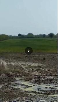  Agricultural Land for Sale in Kankroli, Rajsamand