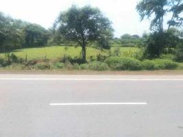  Residential Plot for Sale in Dongargaon, Rajnandgaon